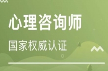 心理咨詢師備考教材